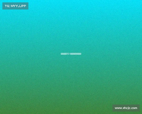 核心力量，NH电竞领队的决胜千里